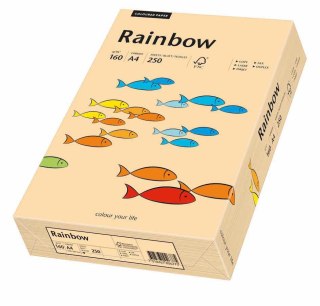 Papier xero A4 160g j.różowy 250a R54 RAINBOW 88042527/23