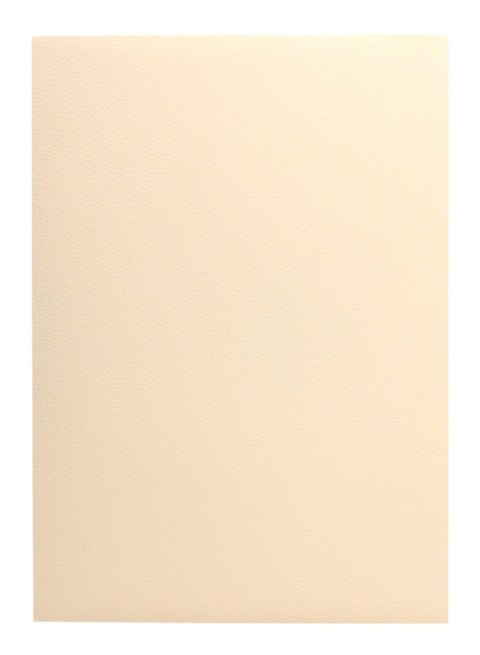 Karton wizytówkowy A4 W19 tłoczony (20 arkuszy) 246g KRESKA SALE