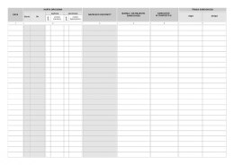 804-1 RD Raport Dyspozytor.A4 Michalczyk i Prokop (X)