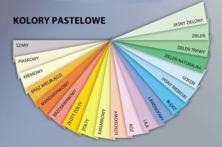 "Papier kolorowy, pastelowy papier ksero A4 160g, ryza 250 kartek zieleń naturalna EMERSON "