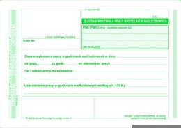 529-5 Zlecenie wyk.prac w godz nadliczbow.MICHALCZYK I PROKOP