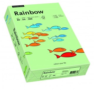 Papier xero kolorowy RAINBOW przygaszona zieleń R75 88042629