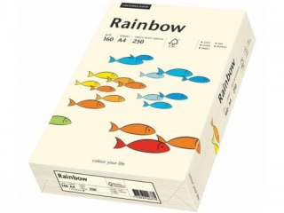 Papier xero A4 160g.kremowy R03 RAINBOW 88042257 koś.sł.OPT