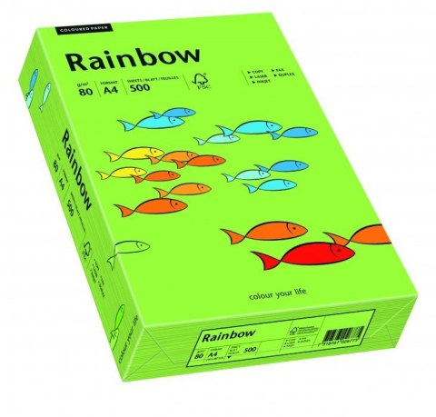 Papier xero kolorowy RAINBOW zielony R76 88042651