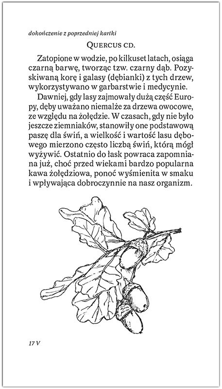 Kalendarz RODZINNY zdzierak 2026 (Z1) TELEGRAPH
