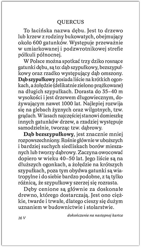 Kalendarz RODZINNY zdzierak 2026 (Z1) TELEGRAPH