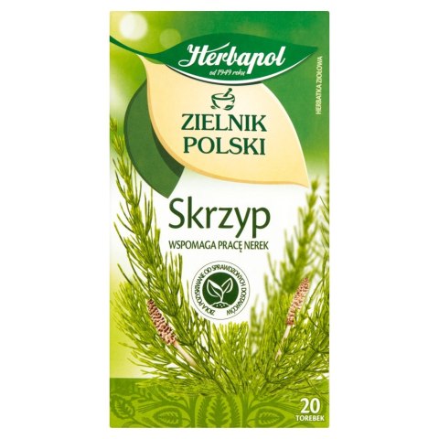 Herbata HERBAPOL ZIELNIK POLSKI Skrzyp (20 torebek)