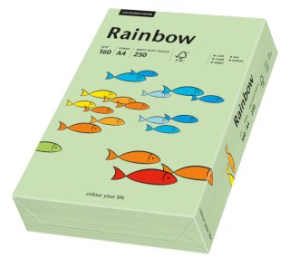 Papier xero A4 160g miętowy/seledynowy /przygaszona zieleń R75 (250) RAINBOW 88042637 (X)