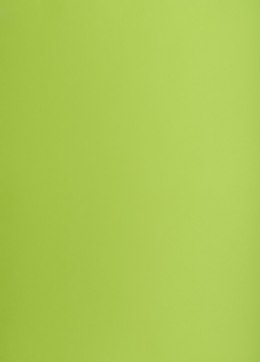 Karton kolorowy Oxford B2 225g 25ark nr.66 j.zielony 400150337 TOP-2000