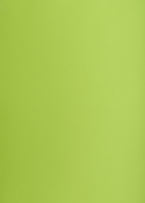 Karton kolorowy Oxford B2 225g 25ark nr.66 j.zielony 400150337 TOP-2000