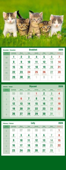Kalendarz trójdzielny 2026 Koty Michalczyk i Prokop T-105T-10