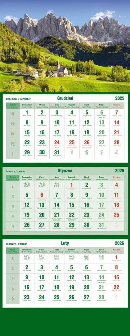 Kalendarz trójdzielny 2026 Las Michalczyk i Prokop T-105T-03