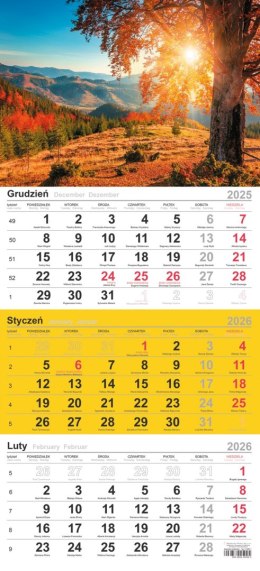 Kalendarz trójdzielny (H) 2026 Michalczyk i Prokop T-106T-12