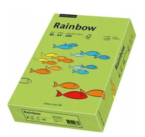 Papier xero kolorowy A4 160g 250 ark. RAINBOW R76 zielony 88042659