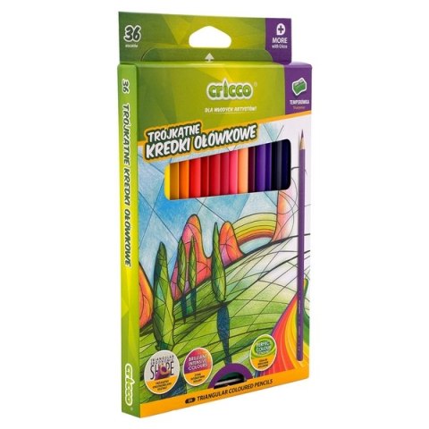 KREDKI CRICCO TRÓJKĄTNE 36-KOL. OP.KARTONOWE Z TEMPERÓWKĄ CR322K36