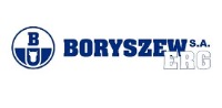 Boryszew